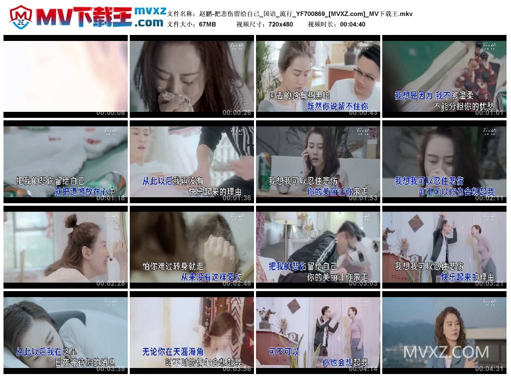 赵鹏-把悲伤留给自己_国语_流行_YF700869